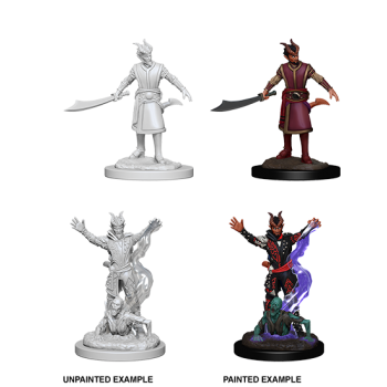 D&D NOLZU'S MARVELOUS MINIATURES: MALE TIEFLING WARLOCK D&D NOLZU'S MARVELOUS MINIATURES: MALE TIEFLING WARLOCK