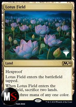CAMPO DI LOTO - PROMO - EXTRA CARD