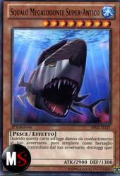 SQUALO MEGALODONTE SUPER-ANTICO