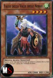 FALCO DELLA VALLE DELLE NEBBIE