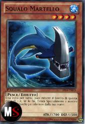 SQUALO MARTELLO