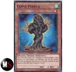 COPIA PIANTA