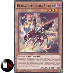 RAIDRAPTOR LANIUS AFFILATO