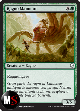 RAGNO MAMMUT