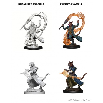 D&D NOLZUR'S MARVELOUS MINIATURES: STREGONE TIEFLING MASCHIO (WZK73201) D&D NOLZUR'S MARVELOUS MINIATURES: STREGONE TIEFLING MASCHIO (WZK73201)