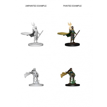 D&D NOLZUR'S MARVELOUS MINIATURES: DRUIDO ELFO FEMMINA (WZK72642) D&D NOLZUR'S MARVELOUS MINIATURES: DRUIDO ELFO FEMMINA (WZK72642)
