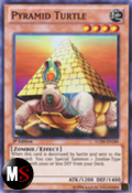 TARTARUGA PIRAMIDE