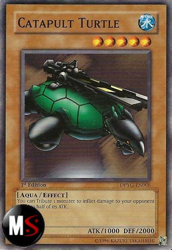 TARTARUGA CATAPULTA