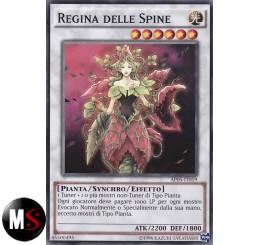 REGINA DELLE SPINE