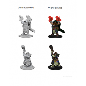 D&D NOLZUR'S MARVELOUS MINIATURES: CHIERICO NANO MASCHIO (WZK72624) D&D NOLZUR'S MARVELOUS MINIATURES: CHIERICO NANO MASCHIO (WZK72624)