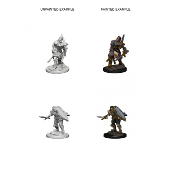D&D NOLZUR'S MARVELOUS MINIATURES: PALADINO UMANO MASCHIO (WZK72629) D&D NOLZUR'S MARVELOUS MINIATURES: PALADINO UMANO MASCHIO (WZK72629)