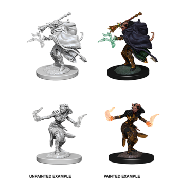 D&D NOLZUR'S MARVELOUS MINIATURES: WARLOCK TIEFLING FEMMINA (WZK73389) D&D NOLZUR'S MARVELOUS MINIATURES: WARLOCK TIEFLING FEMMINA (WZK73389)