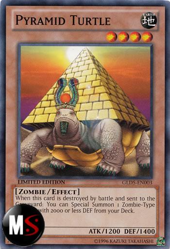 TARTARUGA PIRAMIDE