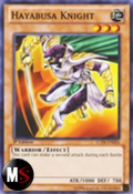 CAVALIERE HAYABUSA