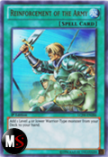 RINFORZI DELL'ESERCITO