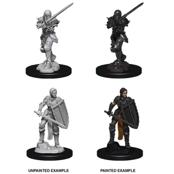 D&D NOLZUR'S MARVELOUS MINIATURES: GUERRIERO UMANO FEMMINA (WZK73705) D&D NOLZUR'S MARVELOUS MINIATURES: GUERRIERO UMANO FEMMINA (WZK73705)