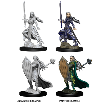 D&D NOLZUR'S MARVELOUS MINIATURES: PALADINO ELFO FEMMINA (WZK73706) D&D NOLZUR'S MARVELOUS MINIATURES: PALADINO ELFO FEMMINA (WZK73706)