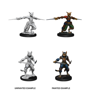 D&D NOLZUR'S MARVELOUS MINIATURES: LADRO TABAXI FEMMINA (WZK73708) D&D NOLZUR'S MARVELOUS MINIATURES: LADRO TABAXI FEMMINA (WZK73708)