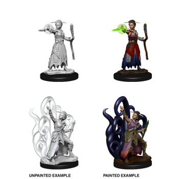 D&D NOLZUR'S MARVELOUS MINIATURES: WARLOCK UMANO FEMMINA (WZK73837) D&D NOLZUR'S MARVELOUS MINIATURES: WARLOCK UMANO FEMMINA (WZK73837)