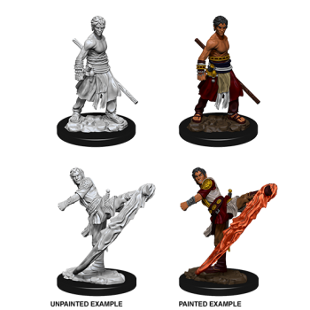 D&D NOLZUR'S MARVELOUS MINIATURES: MONACO MEZZELFO MASCHIO (WZK73838) D&D NOLZUR'S MARVELOUS MINIATURES: MONACO MEZZELFO MASCHIO (WZK73838)