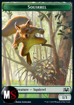 SQUIRREL TOKEN (GREEN 1 / 1)