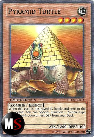 TARTARUGA PIRAMIDE