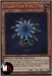 BULBO LUMINOSO