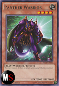 PANTERA GUERRIERA