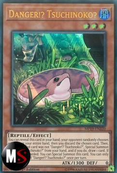 PERICOLO!? TSUCHINOKO?