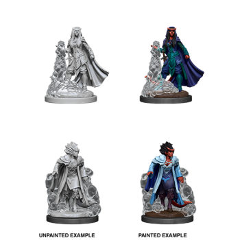 D&D NOLZUR'S MARVELOUS MINIATURES: STREGONE TIEFLING FEMMINA (WZK90059) D&D NOLZUR'S MARVELOUS MINIATURES: STREGONE TIEFLING FEMMINA (WZK90059)