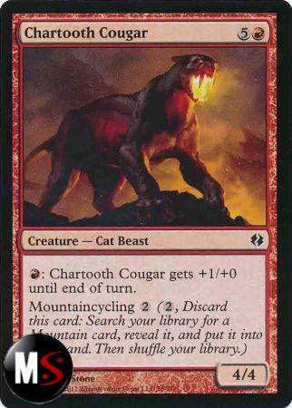 CHARTOOTH COUGAR