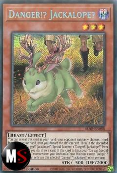 PERICOLO!? JACKALOPE?