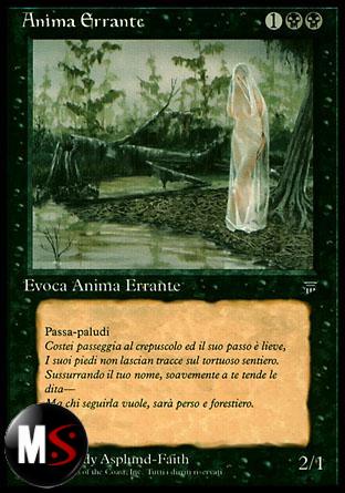 ANIMA ERRANTE