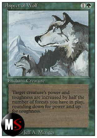 ASPECT OF WOLF