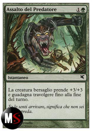 ASSALTO DEL PREDATORE