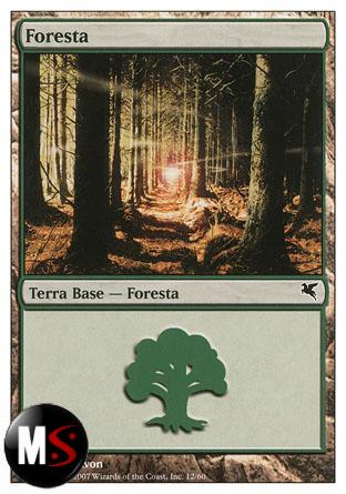 FORESTA