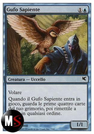 GUFO SAPIENTE