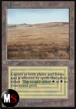 SAVANA
