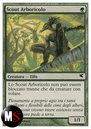 SCOUT ARBORICOLO