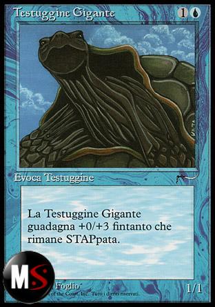 TESTUGGINE GIGANTE