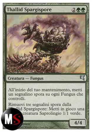 THALLID SPARGISPORE