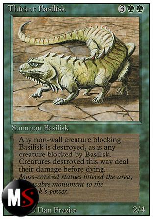 THICKET BASILISK