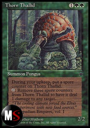 THORN THALLID (1)