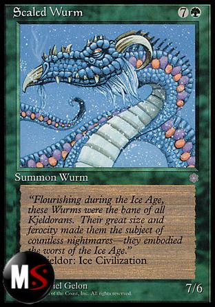 WURM SQUAMATO