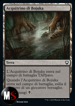 ACQUITRINO DI BOJUKA