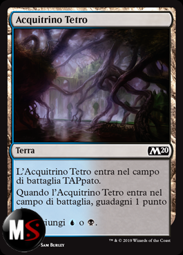 ACQUITRINO TETRO