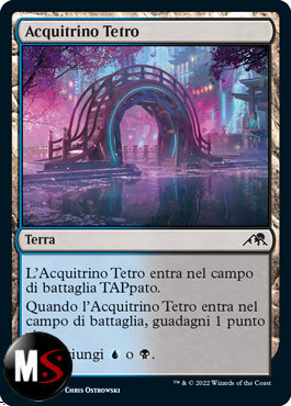 ACQUITRINO TETRO