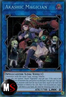 MAGA AKASHIC