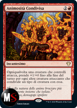 ANIMOSITà CONDIVISA