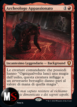 ARCHEOLOGO APPASSIONATO